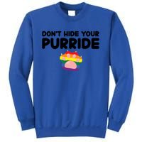 DonT Hide Your Pride Funny Gift Pride Ally Cat Purride Gift Sweatshirt