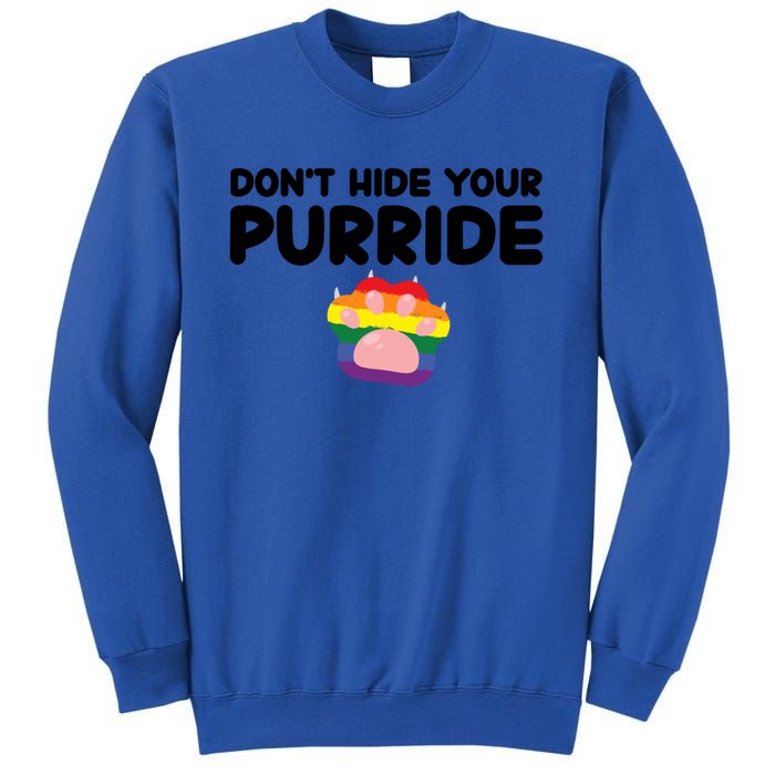 DonT Hide Your Pride Funny Gift Pride Ally Cat Purride Gift Sweatshirt