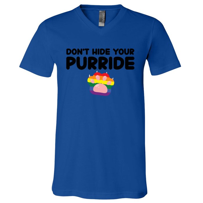 DonT Hide Your Pride Funny Gift Pride Ally Cat Purride Gift V-Neck T-Shirt