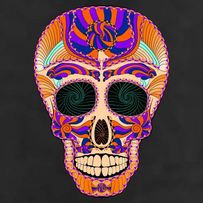 Dia de Muertos Mexican Skull 7 Panel Mesh Trucker Snapback Hat