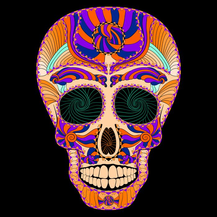Dia de Muertos Mexican Skull 16 in Basic Backpack