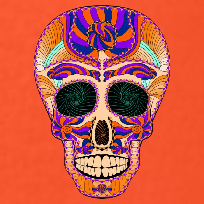Dia de Muertos Mexican Skull T-Shirt