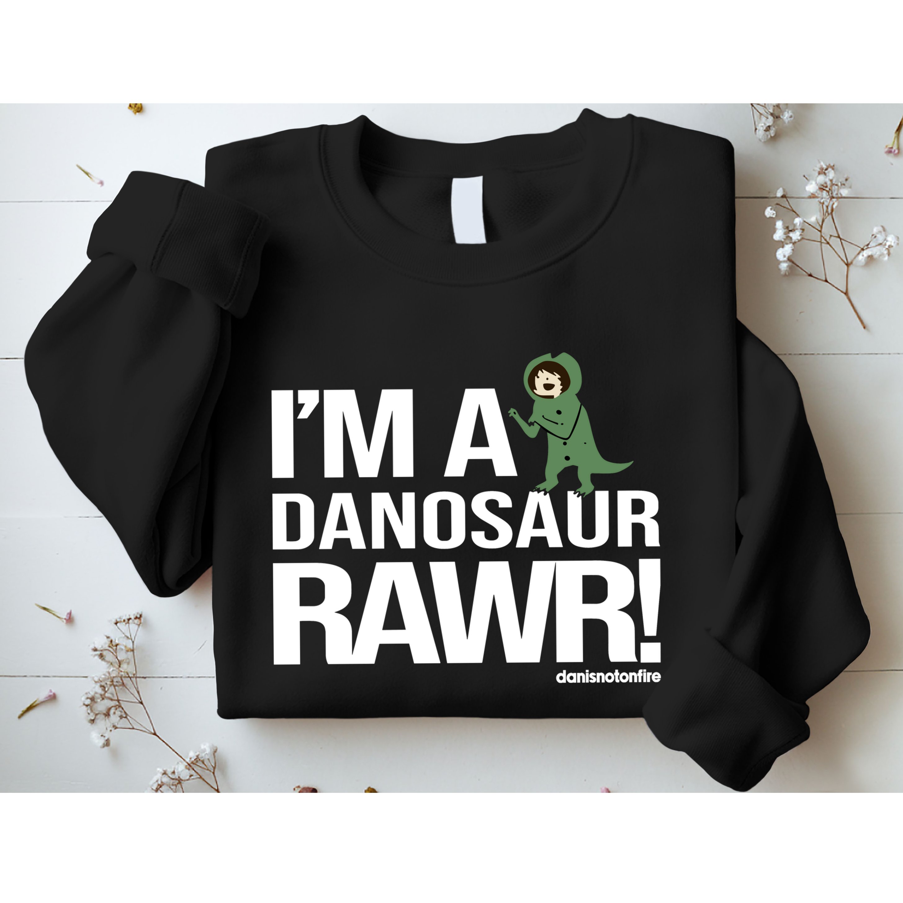 Danisnotonfire IM A Dinosaur Rawr Sweatshirt