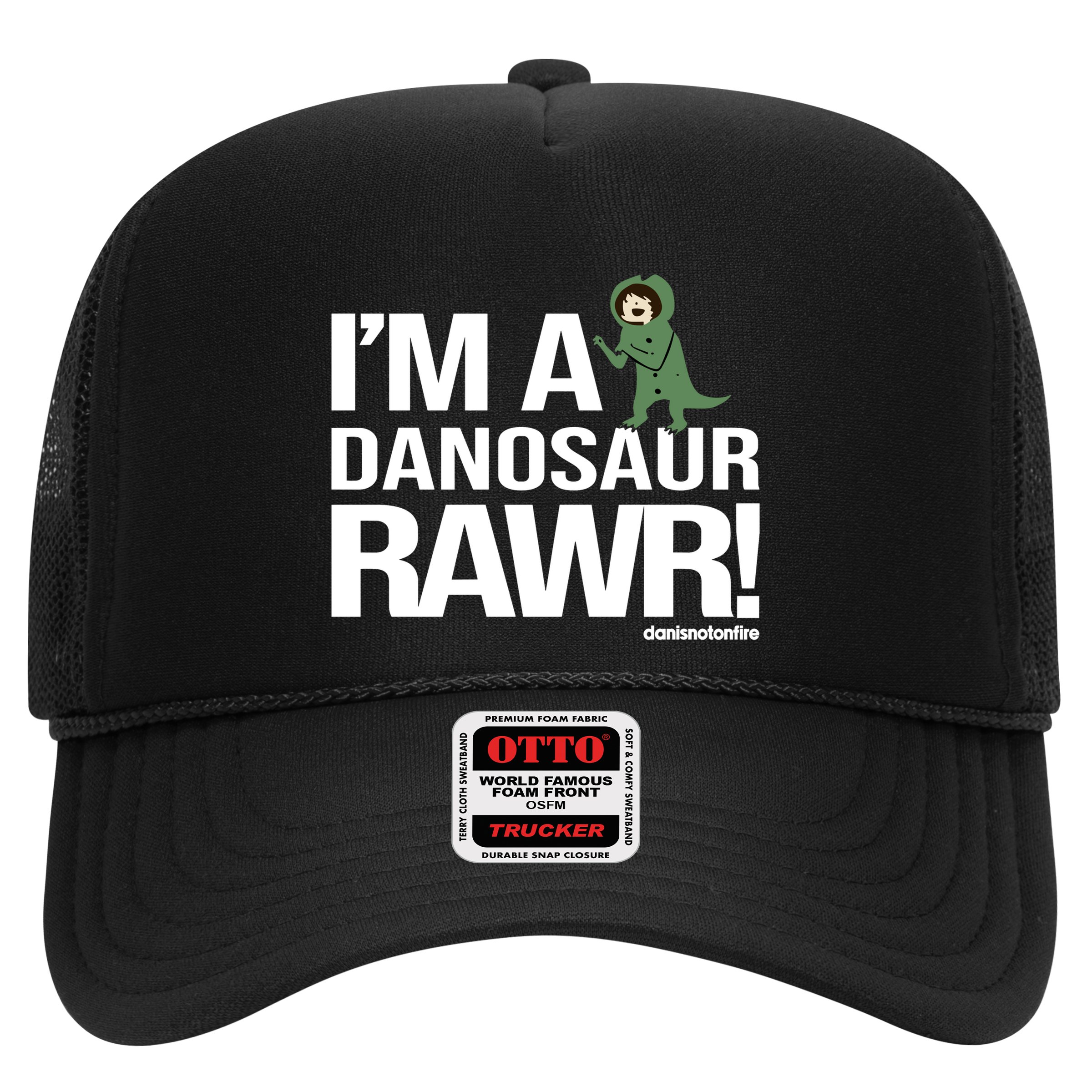 Danisnotonfire IM A Dinosaur Rawr Hat