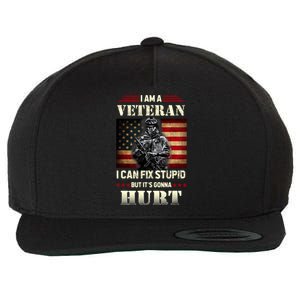 Distressed I Am A Veteran I Can Fix Stupid Veterans Day Wool Snapback Cap