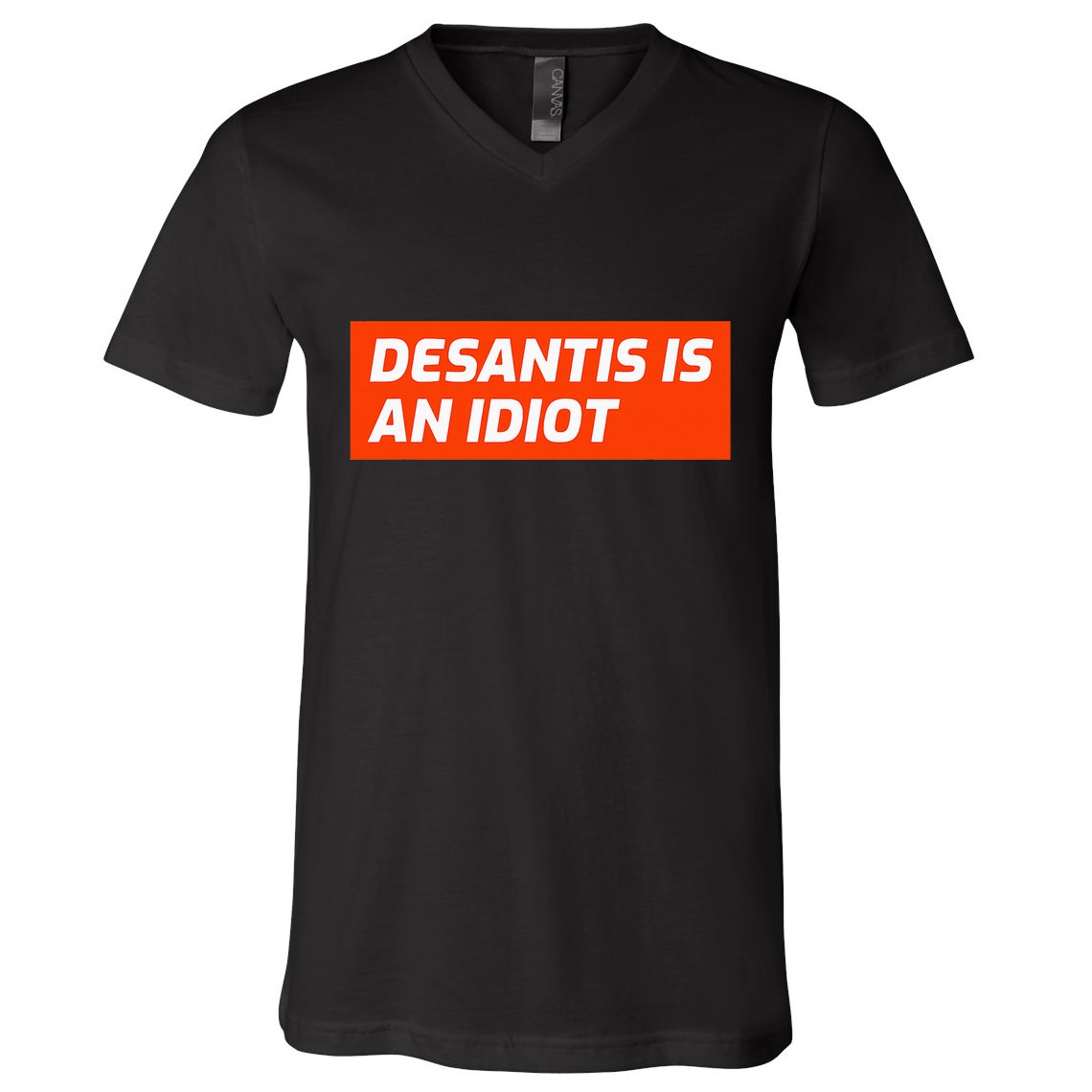 Desantis Is An Idiot Desantis Is A Moron Florida V-Neck T-Shirt