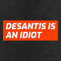 Desantis Is An Idiot Desantis Is A Moron Florida 15oz Campfire Ceramic Mug