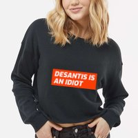Desantis Is An Idiot Desantis Is A Moron Florida Cropped Pullover Crew