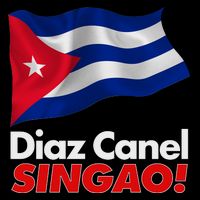 Diaz Canel Singao! Cuban Flag 16 in Basic Backpack