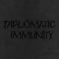Diplomatic Immunity (Bjmn) Adult Drive Performance Visor