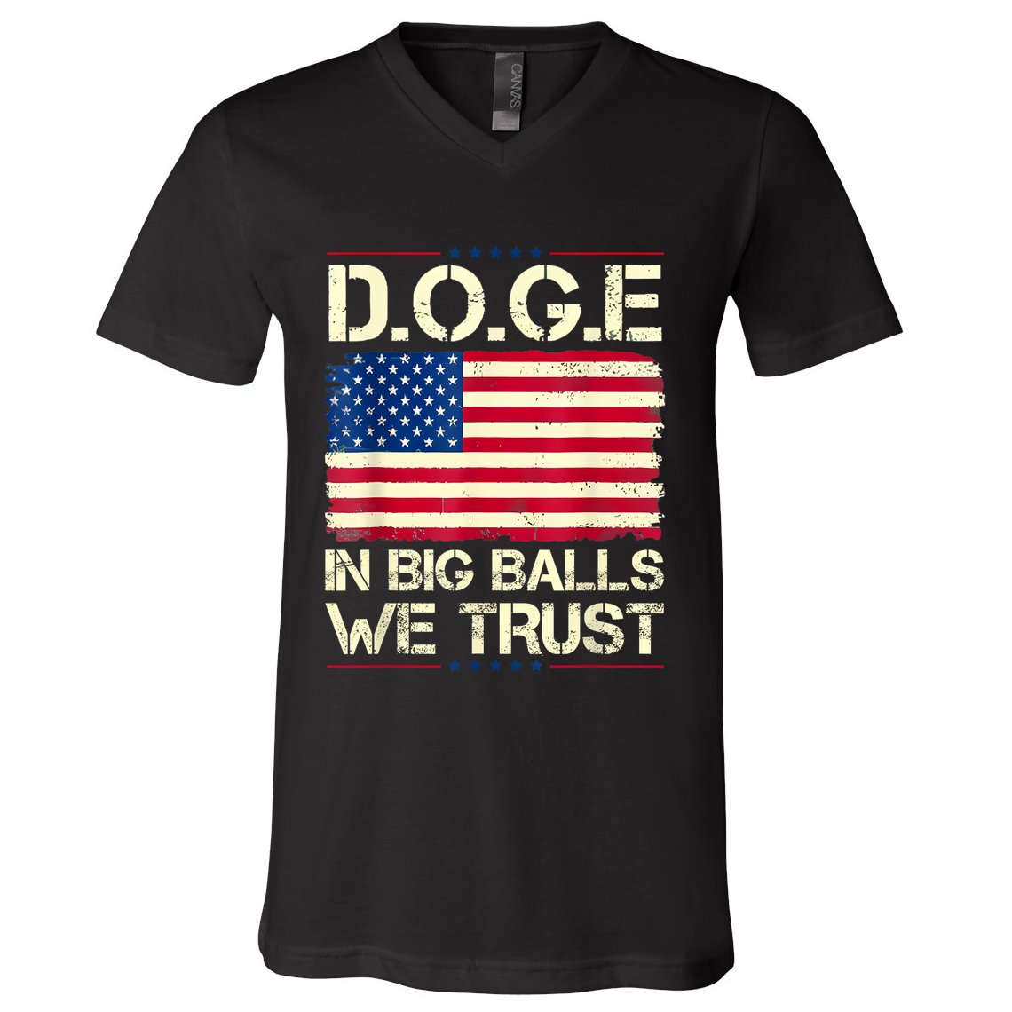 Doge In Big Balls We Trust 2025 V-Neck T-Shirt