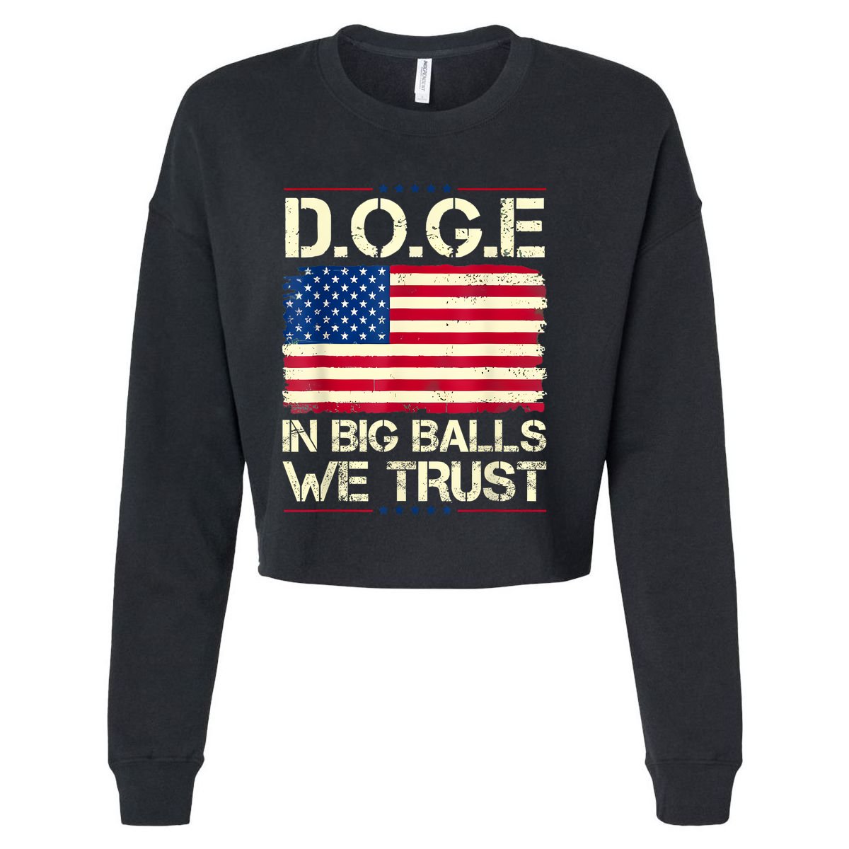 Doge In Big Balls We Trust 2025 Cropped Pullover Crew