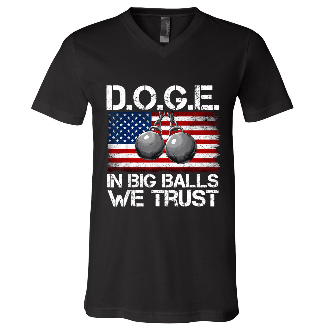 D.O.G.E. In Big Balls We Trust 2025 V-Neck T-Shirt