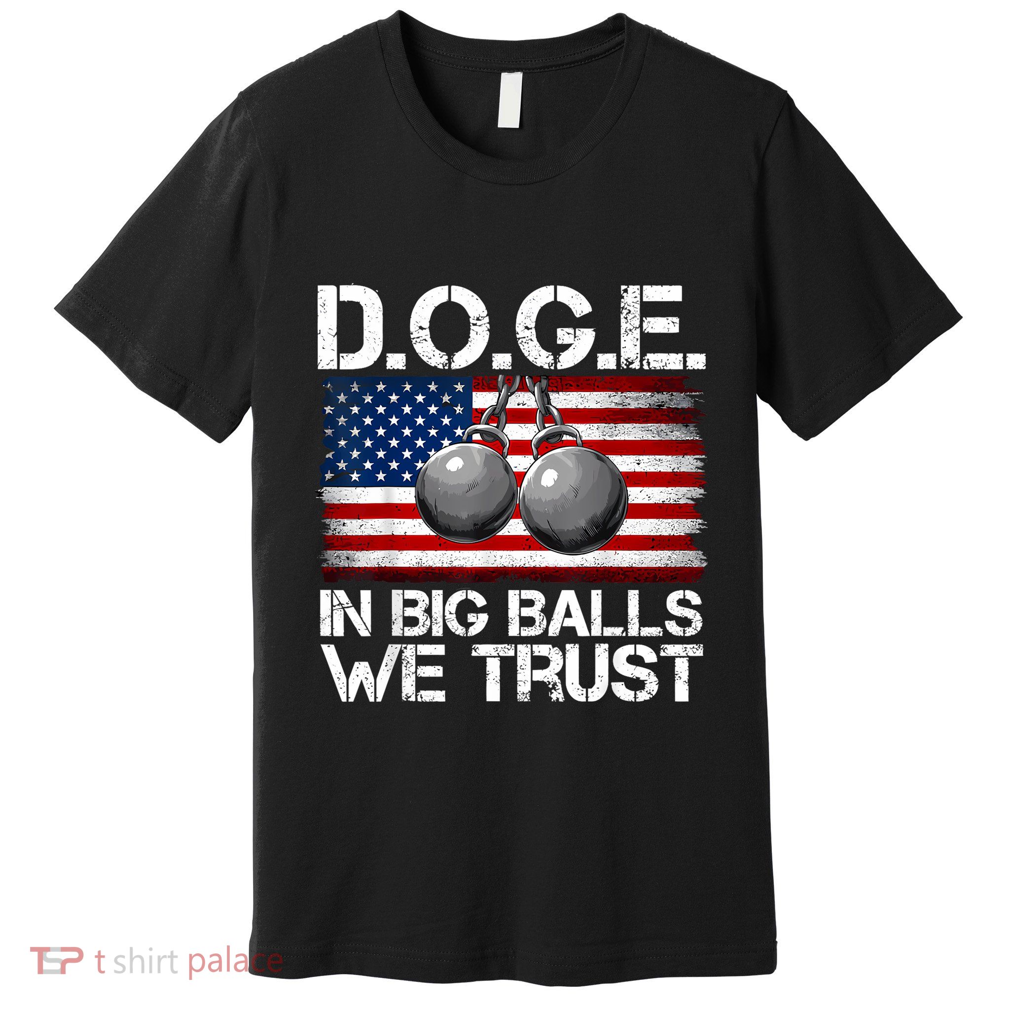 D.O.G.E. In Big Balls We Trust 2025 Premium T-Shirt