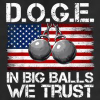 D.O.G.E. In Big Balls We Trust 2025 Hat