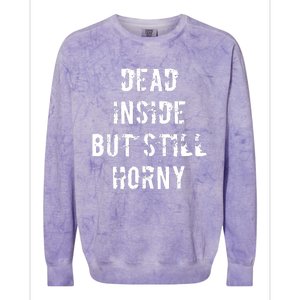 Dead Inside But Still Horny Funny Joke Word Bachelor Party Colorblast Crewneck Sweatshirt