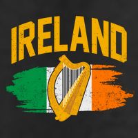 Distressed Ireland Coat Of Arms Harp Flag Adult Drive Performance Visor
