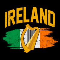 Distressed Ireland Coat Of Arms Harp Flag Kids Hoodie