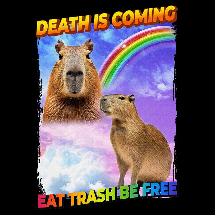 Death Is Coming Eat Trash Be Free Capibara Sweatshirt