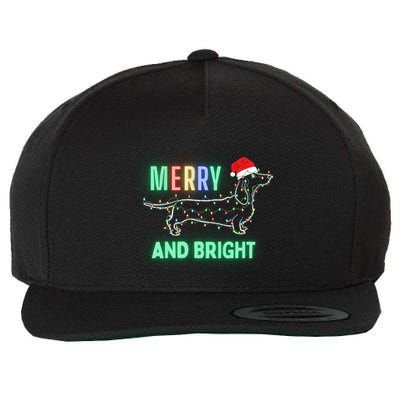 Dachshund In Christmas Lights Santa Hat Merry And Bright Meaningful Gift Wool Snapback Cap