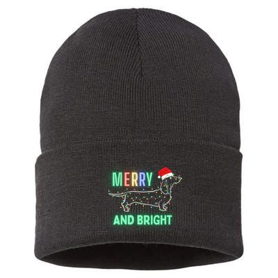 Dachshund In Christmas Lights Santa Hat Merry And Bright Sustainable Knit Beanie