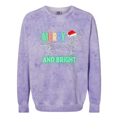 Dachshund In Christmas Lights Santa Hat Merry And Bright Meaningful Gift Colorblast Crewneck Sweatshirt