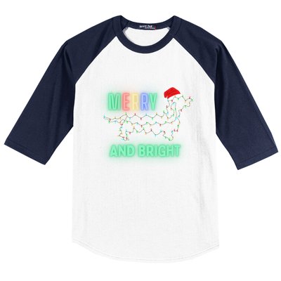 Dachshund In Christmas Lights Santa Hat Merry And Bright Meaningful Gift Baseball Sleeve Shirt