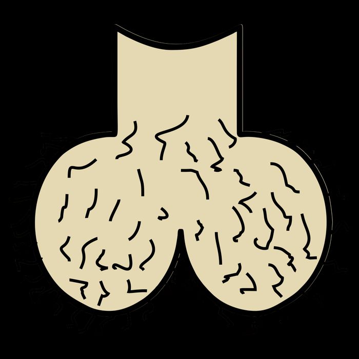 Dick Head Ball Sack Tank Top