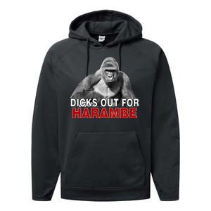 Dicks Out For Harambe Performance Fleece Hoodie