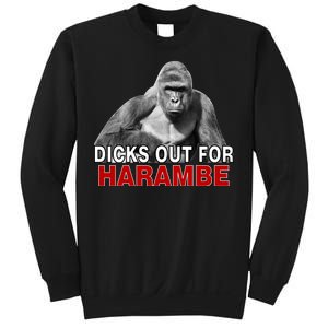 Dicks Out For Harambe Sweatshirt