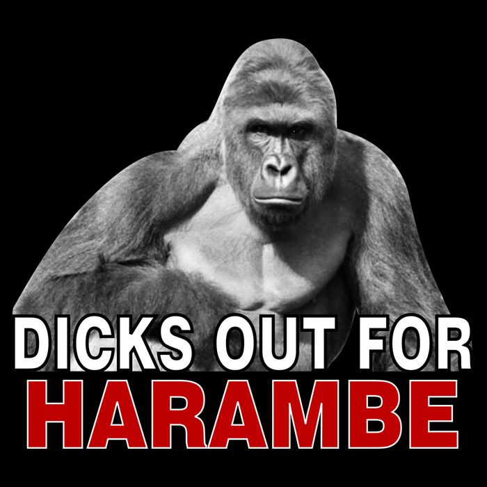 Dicks Out For Harambe Drawstring Bag