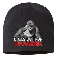 Dicks Out For Harambe Sustainable Beanie