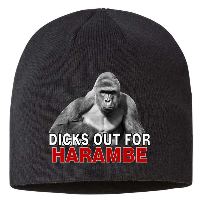 Dicks Out For Harambe Sustainable Beanie