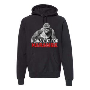 Dicks Out For Harambe Premium Hoodie