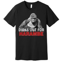 Dicks Out For Harambe Premium T-Shirt