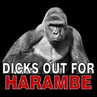 Dicks Out For Harambe Premium T-Shirt