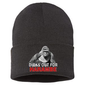 Dicks Out For Harambe Sustainable Knit Beanie