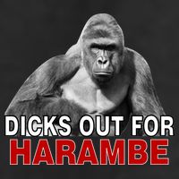 Dicks Out For Harambe 25L Jumbo Tote