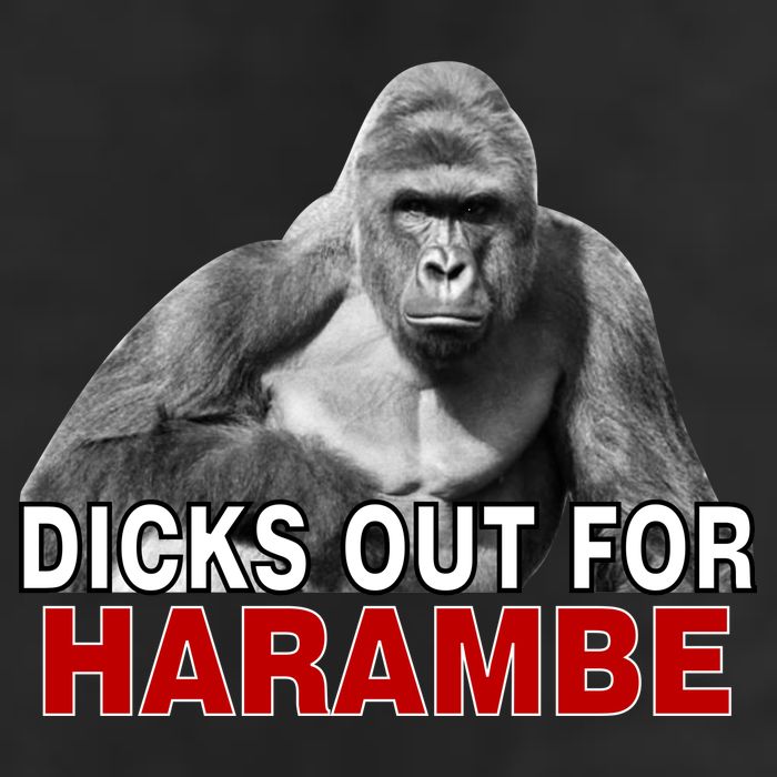Dicks Out For Harambe 25L Jumbo Tote
