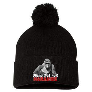 Dicks Out For Harambe Pom Pom 12in Knit Beanie