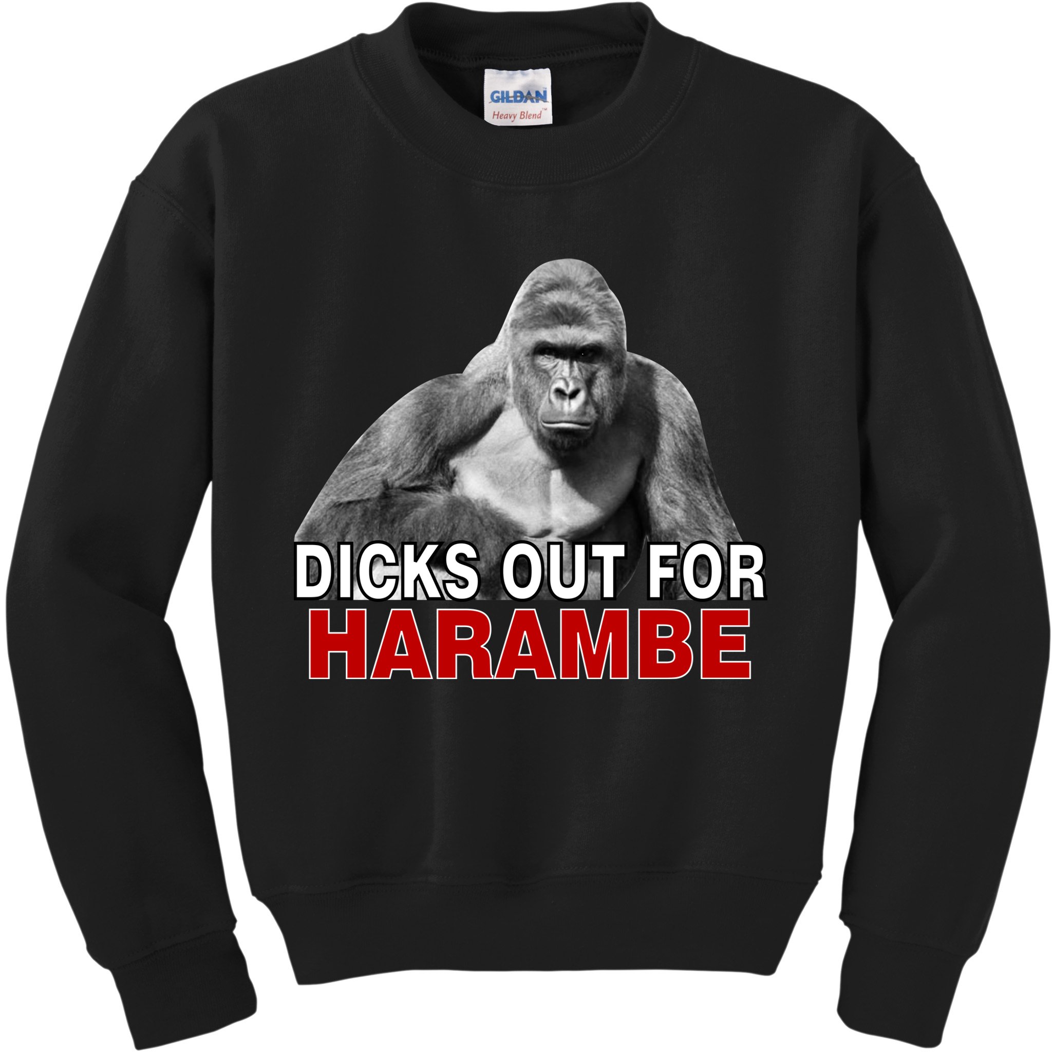 Dicks Out For Harambe Kids Sweatshirt
