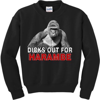 Dicks Out For Harambe Kids Sweatshirt