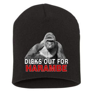 Dicks Out For Harambe Short Acrylic Beanie