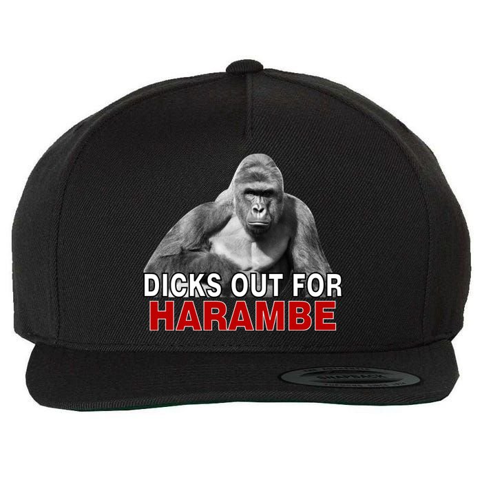 Dicks Out For Harambe Wool Snapback Cap