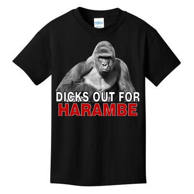 Dicks Out For Harambe Kids T-Shirt