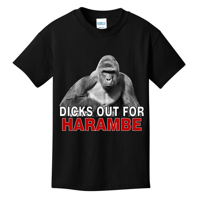 Dicks Out For Harambe Kids T-Shirt