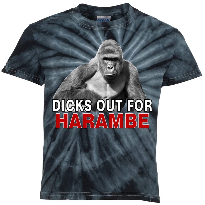 Dicks Out For Harambe Kids Tie-Dye T-Shirt