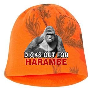 Dicks Out For Harambe Kati - Camo Knit Beanie