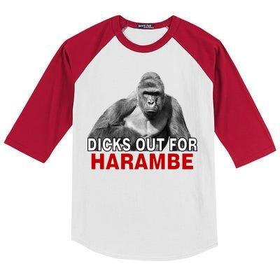 Dicks Out For Harambe Kids Colorblock Raglan Jersey