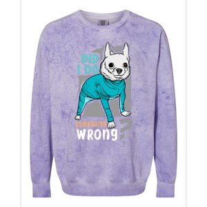 Did I Do Something Wrong Colorblast Crewneck Sweatshirt